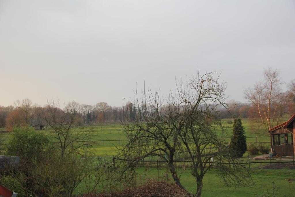 Gasthaus Eickholt Gmbh أشيبيرغ الغرفة الصورة